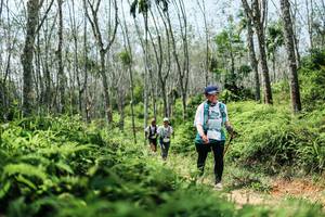 BIB: 
                            <button type="button" onclick="openModal(26360245)" class="btn btn-primary btn-sm float-right btn-popup" data-toggle="modal" data-target=".modal-high-quality">
                        <i class="fas fa-shopping-cart"></i> Add to Cart
                    </button>
                                            <button type="button" onclick="isThisMe(26360245, true)" class="btn btn-success btn-sm float-right btn-popup btn-isme hidden" data-toggle="tooltip" data-placement="bottom" title="นี่คือรูปของคุณใช่ไหม คลิกที่นี่เพื่อเอาเข้าอัลบั้ม">
                        <i class="fas fa-plus"></i> Add to album
                    </button>
                    <button type="button" onclick="isThisMe(26360245, false)" class="btn btn-warning btn-sm float-right btn-popup btn-isnotme hidden">
                        <i class="fas fa-ban"></i> Remove from album
                    </button>